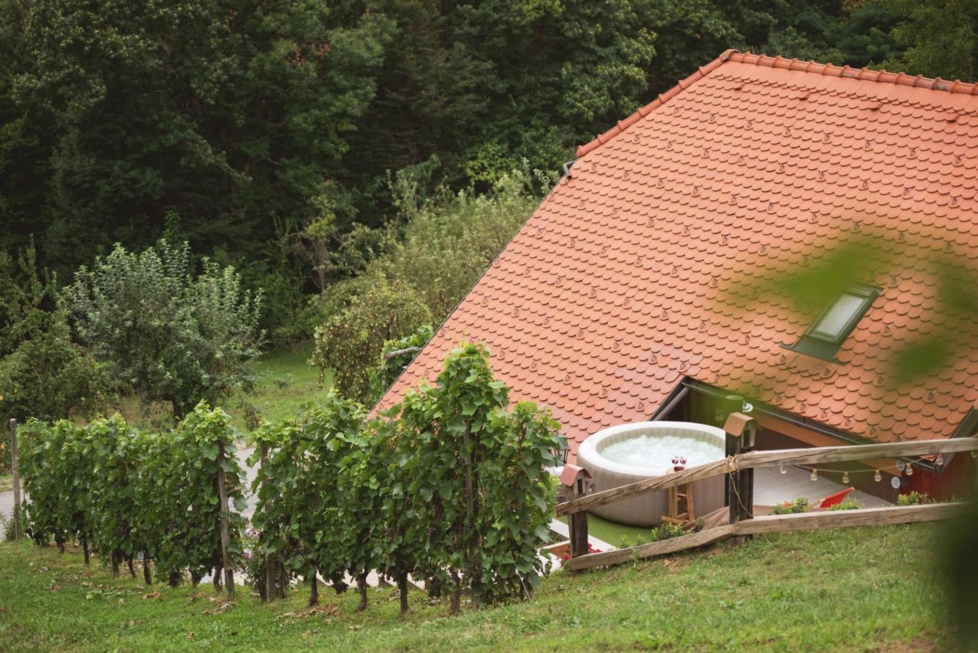 Holiday Home In Skocjan - Kranjska 외부 사진